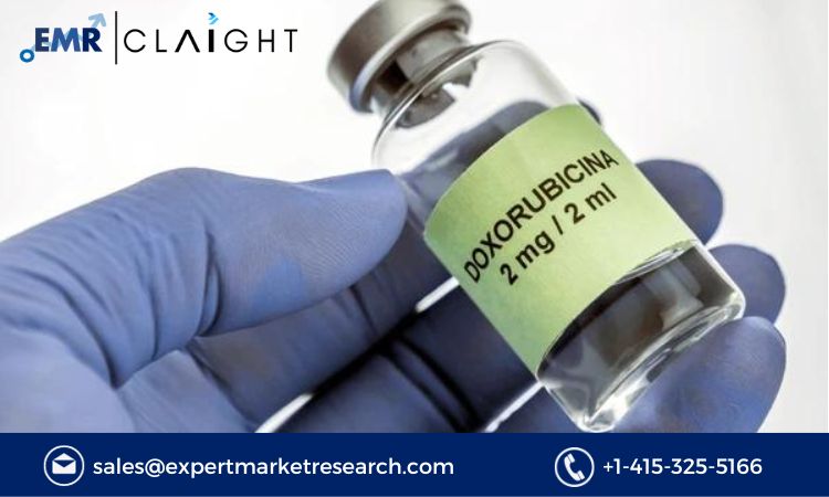 Read more about the article Doxorubicin Market Size, Share, Report and Forecast 2024-2032