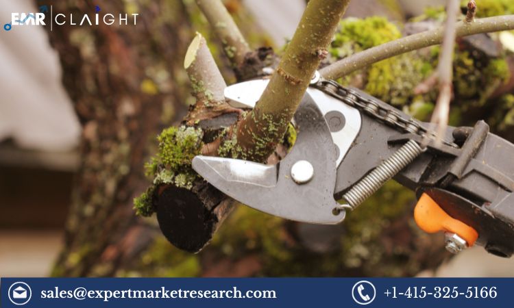 Read more about the article Global Electric Pruning Shears Market Trends, Key Players, Size, Share, Growth, Report, Forecast 2024-2032