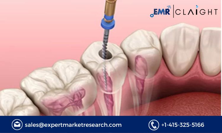 Read more about the article Global Endodontics Market Size, Share, Report and Forecast 2024-2032