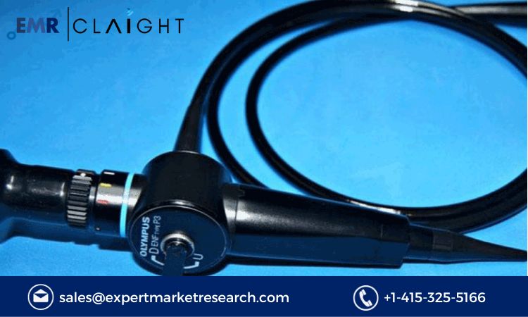 Read more about the article Global Endoscopy Devices Market Size, Share, Report and Forecast 2024-2032