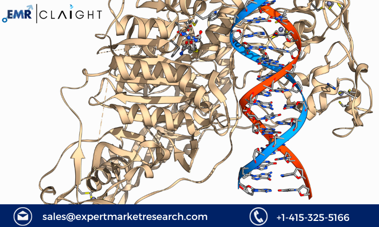 Read more about the article Epigenetics Market Size, Share, Growth, Report and Forecast 2024-2032