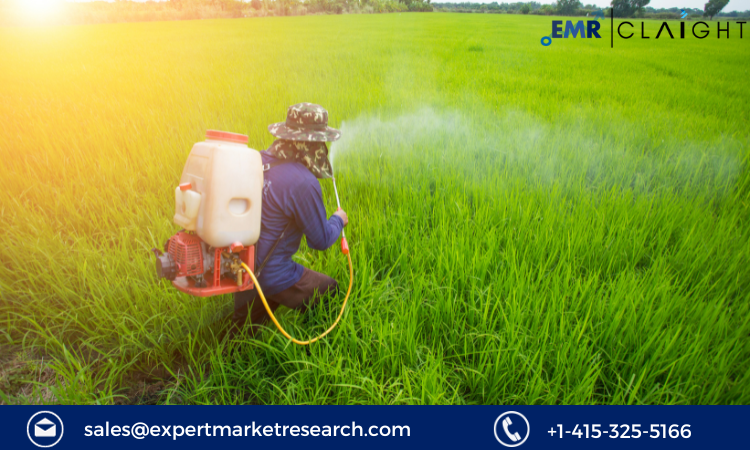 Read more about the article Europe Insecticides Market Size, Growth, Analysis Report and Forecast 2024-2032