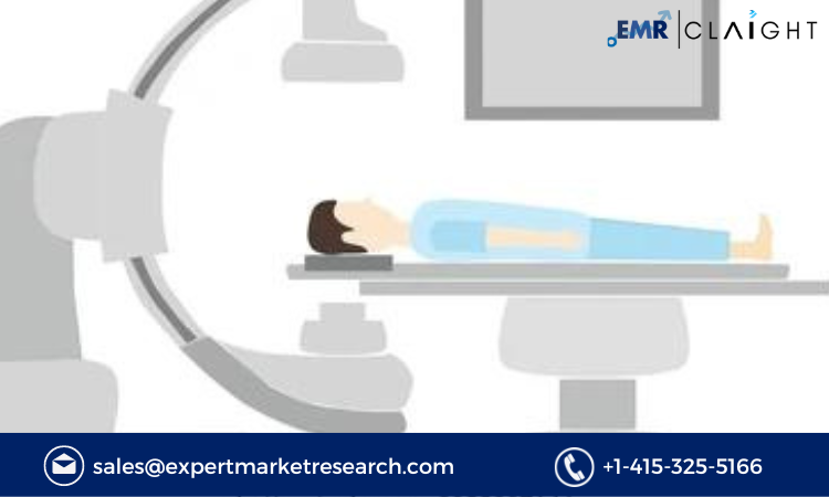 Read more about the article Global Fluoroscopy Equipment Market Size, Growth, Report and Forecast 2024-2032