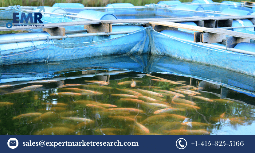 Read more about the article Global Fish Farming Market Size to Grow at a CAGR of 5.7% in the Forecast Period of 2024-2032