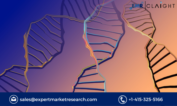 Read more about the article Genomics Market Size, Share, Growth, Analysis Report and Forecast 2024-2032