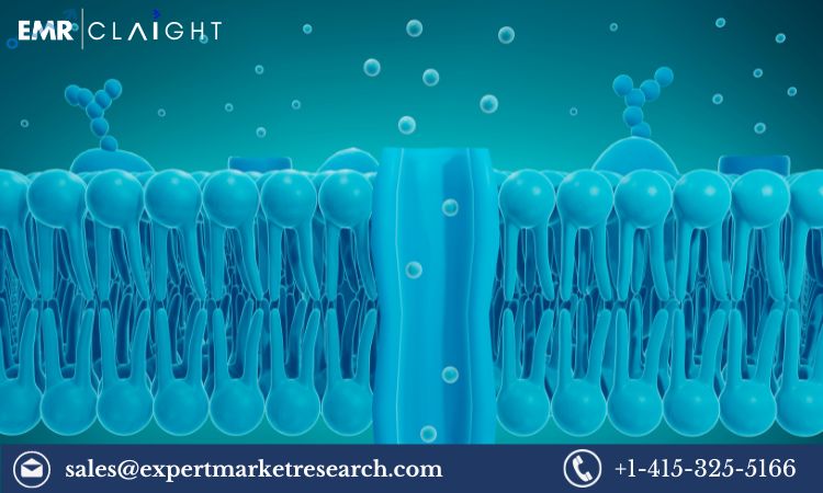 Read more about the article Global Ion Exchange Membrane Market Key Players, Size, Report, Share, Trends, Growth, Forecast 2024-2032