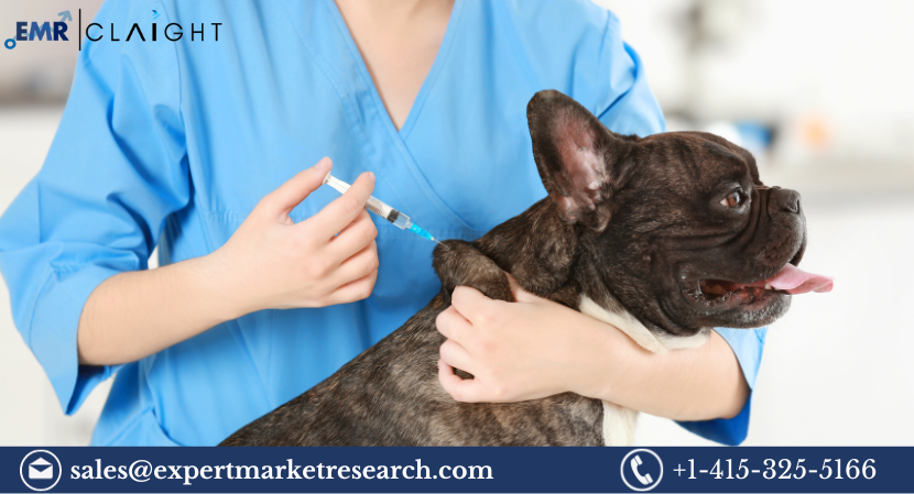 Read more about the article Latin America Veterinary Vaccines Market Size, Share, Price, Trends, Growth, Analysis, Report and Forecast 2024-2032