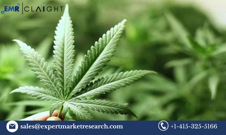 Global Legal Marijuana Market Size, Share, Price, Trends, Growth ...