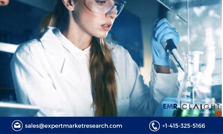 Read more about the article Global Life Science Analytics Market Report and Forecast 2024-2032