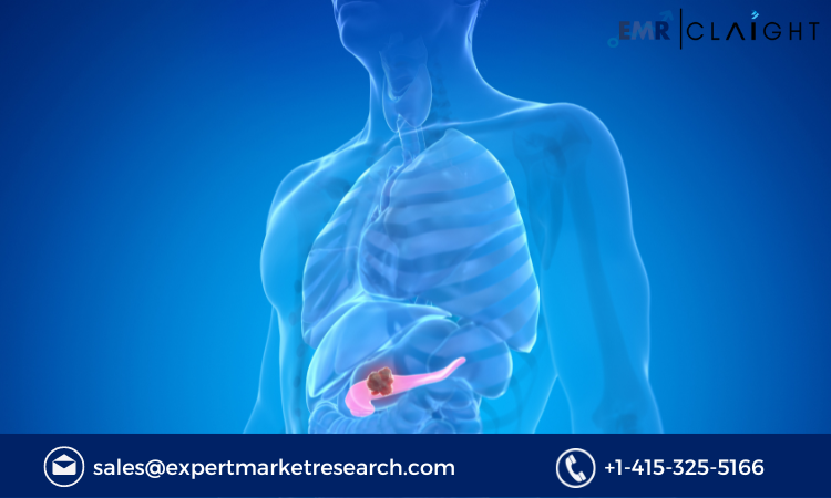 Read more about the article Malignant Mesothelioma Therapeutics Market Size, Share, Growth, Analysis Report and Forecast 2024-2032