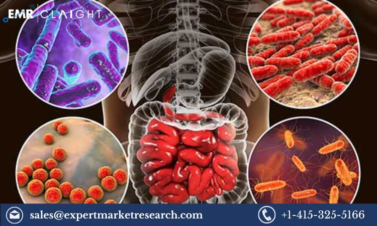 Read more about the article Microbiome Therapeutics Market Size, Share, Price, Trends, Growth, Analysis, Report and Forecast 2024-2032