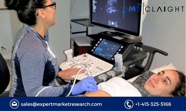 Read more about the article Global Elastography Imaging Market Size, Share, Report and Forecast 2024-2032