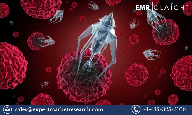 Read more about the article Global Nanomedicine Market Report and Forecast 2024-2032