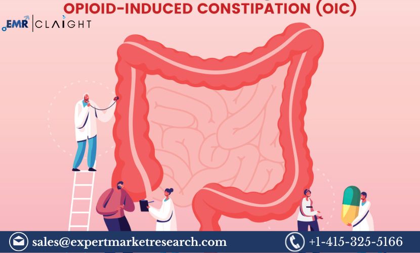 Read more about the article Opioid Induced Constipation Market Size, Share, Price, Trends, Growth, Analysis, Report and Forecast 2024-2032