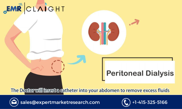 Read more about the article Global Peritoneal Dialysis Market Report and Forecast 2024-2032