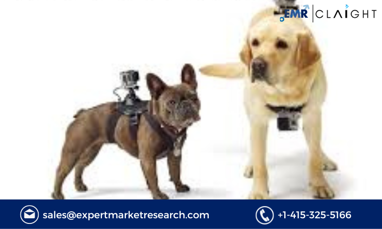 Read more about the article Pet Wearable Market Size, Share, Growth, Analysis Report and Forecast 2024-2032