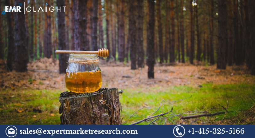 Read more about the article Global Pine Honey Market Size, Share, Price, Growth, Analysis, Report and Forecast 2024-2032