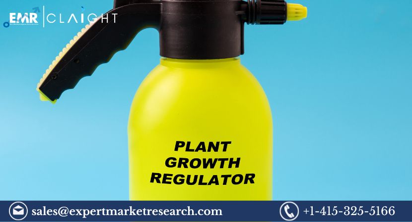 Read more about the article Global Plant Growth Regulators Market Share, Size, Trends, Growth, Analysis, Report, Forecast 2024-2032