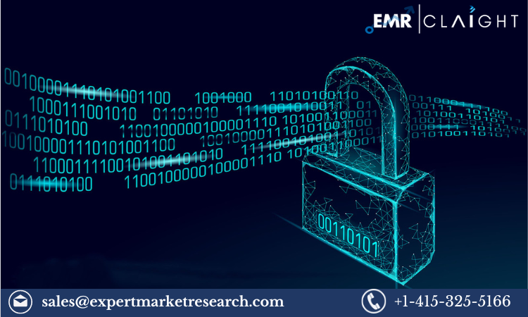 Read more about the article Public Key Infrastructure Market Size, Share, Growth Report and Forecast 2024-2032