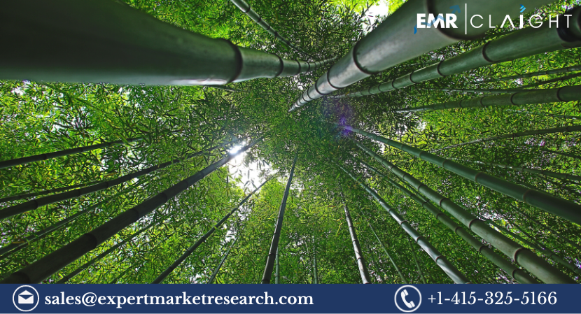 Read more about the article South Korea Bamboo Market Size, Share, Price, Trends, Growth, Analysis, Report and Forecast 2024-2032