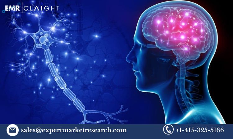 Read more about the article Global 3D Neuroscience Market Size, Share, Price, Trends, Growth, Analysis, Report and Forecast 2024-2032