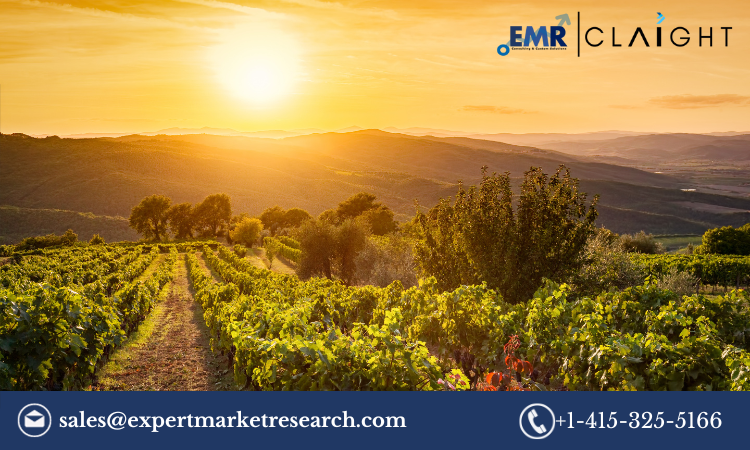 Read more about the article Agritourism Market Size, Share, Growth Report and Forecast 2024-2032