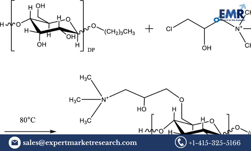 Read more about the article Global Alkyl Polyglucosides (APG) Biosurfactants Market Share, Size, Trends, Analysis, Outlook, Research Report and Forecast 2024-2032