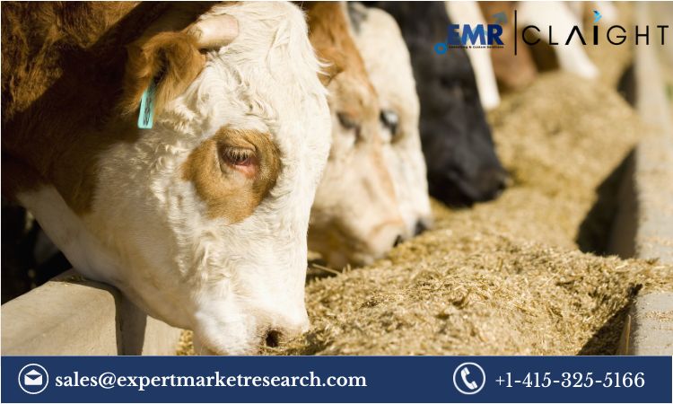 Read more about the article Animal Feeding Equipment Market Size, Share, Growth Report and Forecast 2024-2032