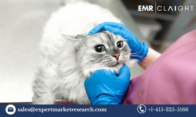 Read more about the article Global Animal Health Market Size, Growth, Share, Key Players, Trends, Report, Forecast 2024-2032