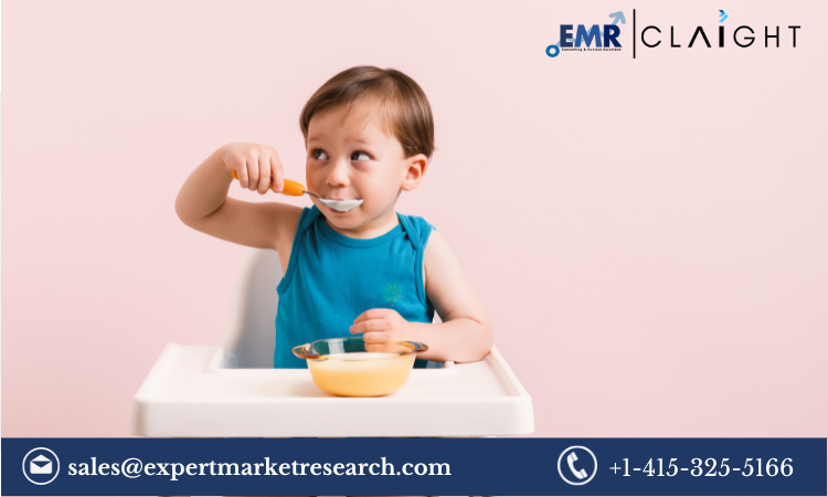 Read more about the article Baby Food Market Size, Share, Growth Report and Forecast 2024-2032