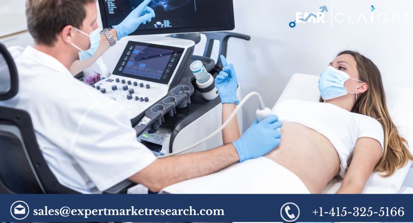 Read more about the article Global Bladder Scanner Market Size, Share, Report and Forecast 2024-2032