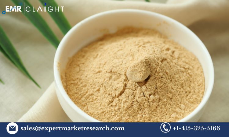 Read more about the article Global Brewer’s Yeast Market Size, Share, Growth, Trends, Report, Key Players, Forecast 2024-2032