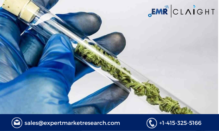 Read more about the article Global Cannabis Testing Services Market Size, Share, Report and Forecast 2024-2032