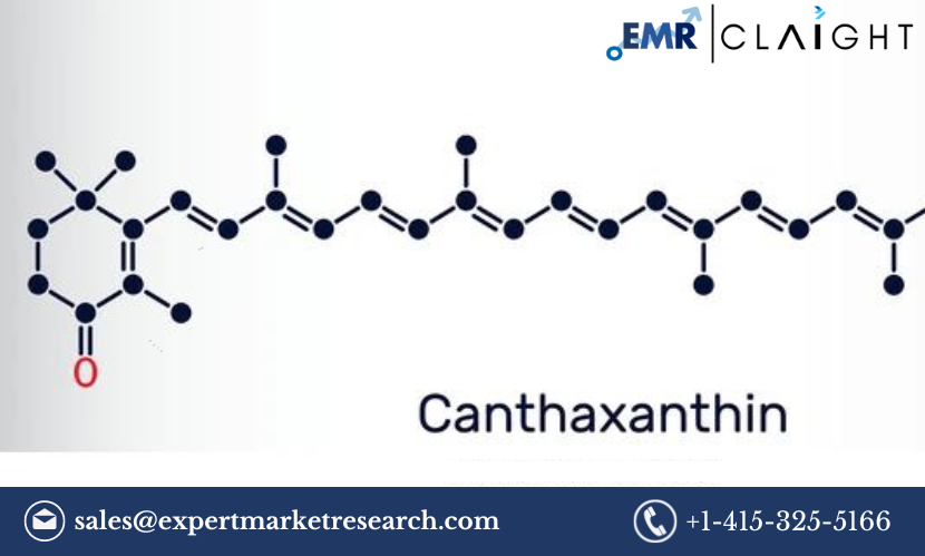 Read more about the article Global Canthaxanthin Market Share, Size, Growth, Analysis, Trends, Report and Forecast 2024-2032