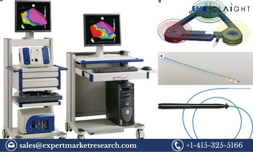 Cardiac Mapping Systems Market 2 