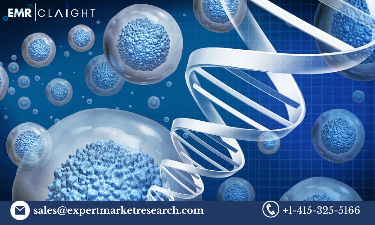 Read more about the article Global Cell and Gene Therapy Cold Chain Logistics Market Size, Share, Price, Trends, Growth, Analysis, Report and Forecast 2024-2032