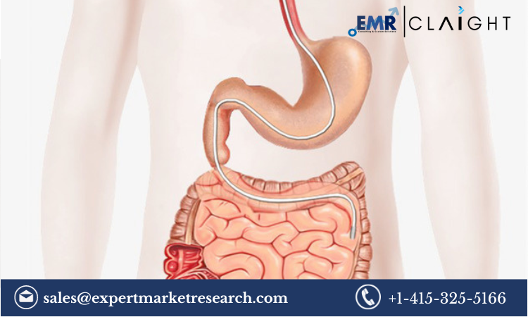 Read more about the article Global Enteral Feeding Devices Market Size, Share, Report and Forecast 2024-2032