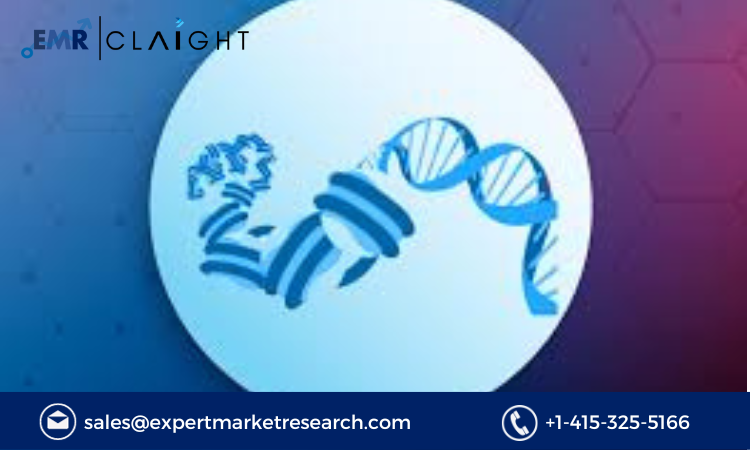 Read more about the article Global Epigenomics Market Size, Share, Report and Forecast 2024-2032