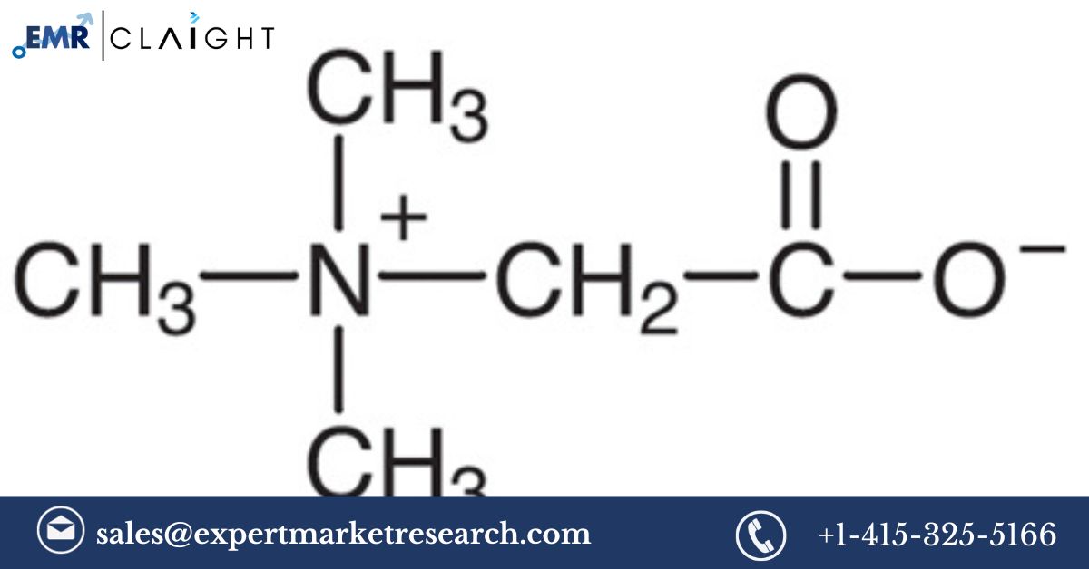 Read more about the article Europe Betaines Market Size, Share, Price, Trends, Growth, Analysis, Report and Forecast 2024-2032