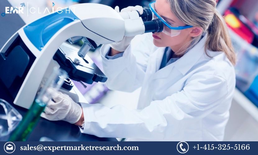 Read more about the article Global Forensic Technology Market Size, Share, Price, Trends, Growth, Analysis, Report and Forecast 2024-2032