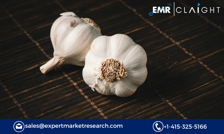 Read more about the article Garlic Market Size, Share, Growth Report and Forecast 2024-2032