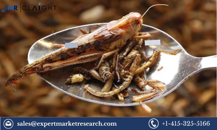 Read more about the article Global Grasshoppers Protein Market Size, Share, Price, Trends, Growth, Analysis, Report and Forecast 2024-2032