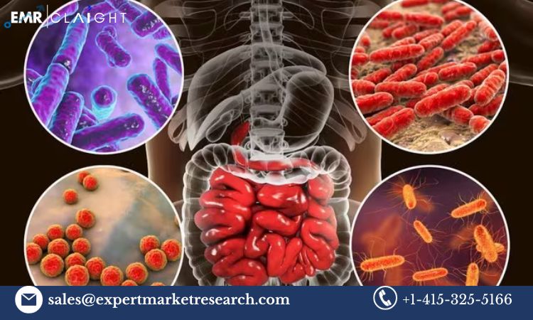 You are currently viewing Global Human Microbiome Market Size, Share, Price, Trends, Growth, Analysis, Report and Forecast 2024-2032