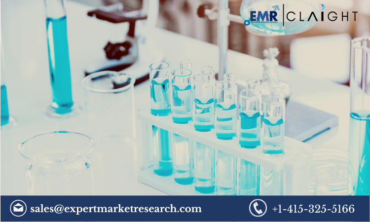 Read more about the article India Biosimilar Market Size, Share, Growth Report and Forecast 2024-2032