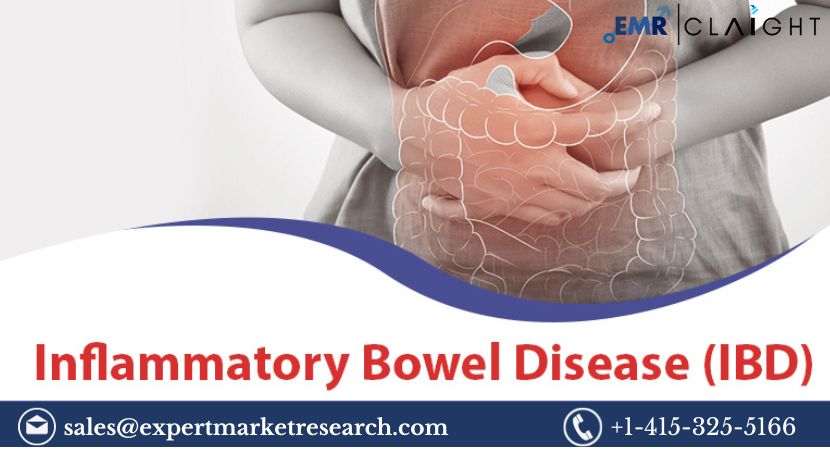 Read more about the article Global Inflammatory Bowel Disease Treatment Market Report and Forecast 2024-2032