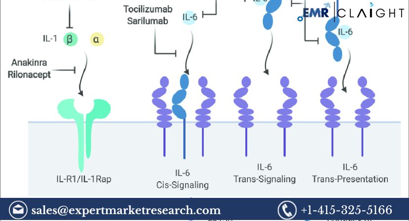 Read more about the article Global Interleukin Inhibitors Market Size, Share, Report and Forecast 2024-2032