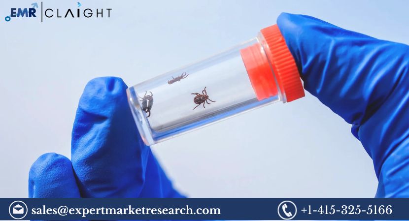 Read more about the article Global Lyme Disease Diagnostics Market Size, Share, Report and Forecast 2024-2032