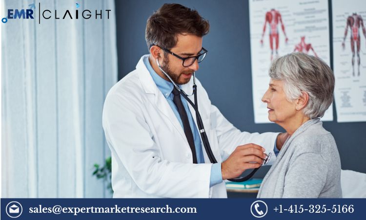 Read more about the article Global Medical Wellness Market Size, Share, Price, Trends, Growth, Analysis, Report and Forecast 2024-2032