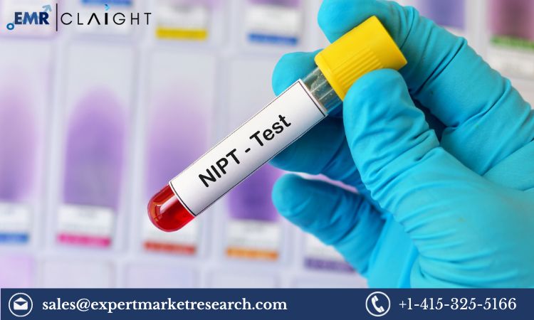 Read more about the article Global Non-Invasive Prenatal Testing (NIPT) Market Size, Share, Growth, Key Players, Report, Trends, Forecast 2024-2032