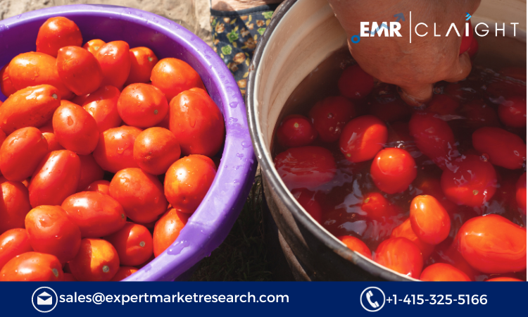 Read more about the article North America Tomato Processing Market Size, Share, Growth Report and Forecast 2024-2032